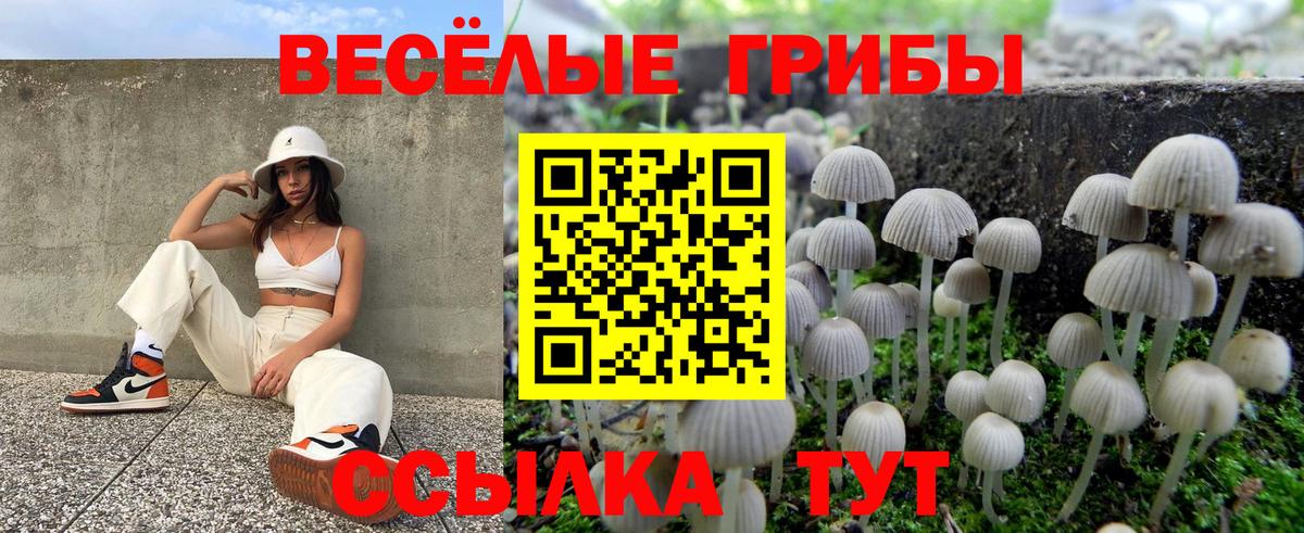 Галлюциногенные грибы Magic Shrooms Рубцовск